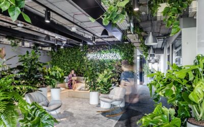 Biophilic Design – projektowanie z natury